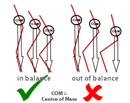 Alpine skiing - Leg Flexion / Extension